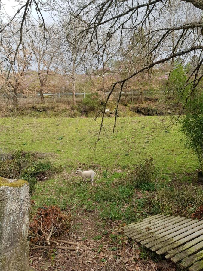 El Viejo Molino Villa Lugo Dış mekan fotoğraf